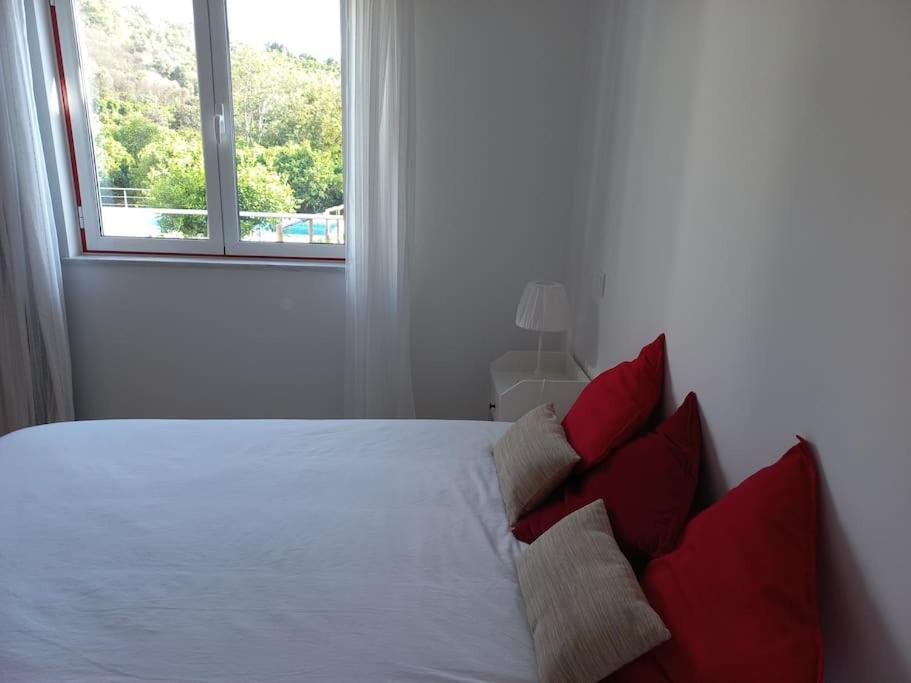 Casa Citrus Limao - Between The Hills & The Ocean سيلفيس المظهر الخارجي الصورة