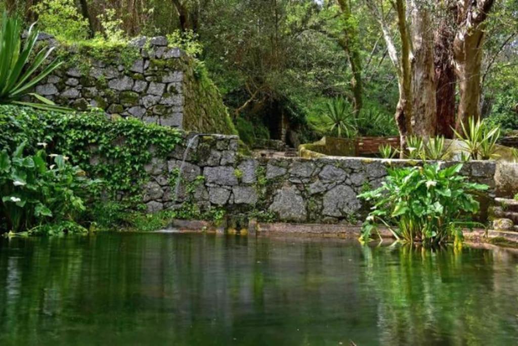 Casa Citrus Limao - Between The Hills & The Ocean سيلفيس المظهر الخارجي الصورة