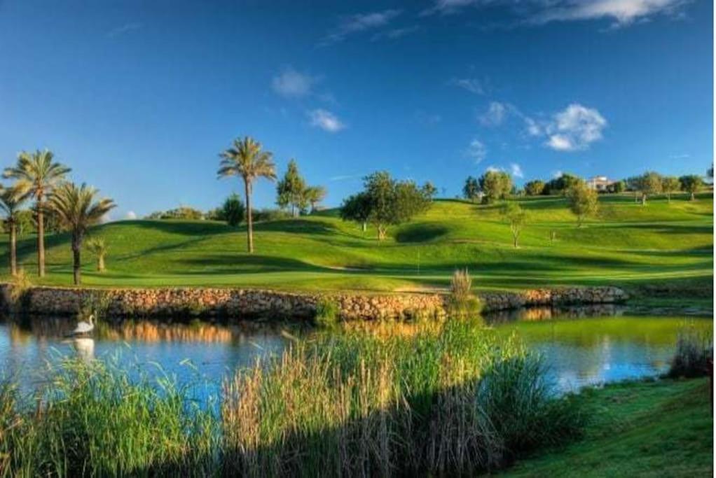 Casa Citrus Limao - Between The Hills & The Ocean سيلفيس المظهر الخارجي الصورة
