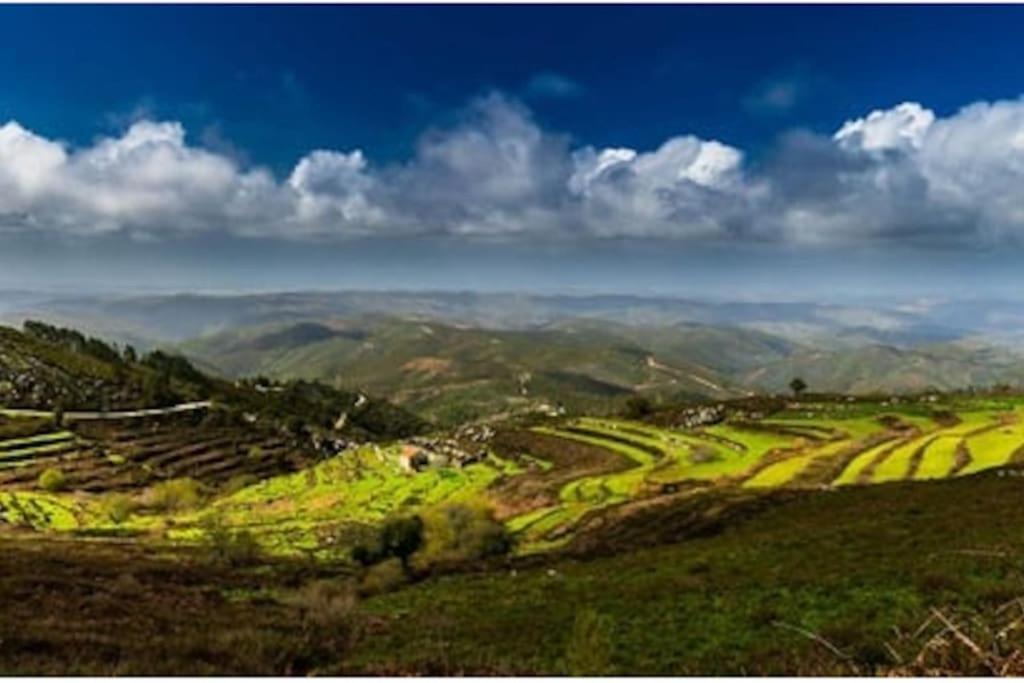 Casa Citrus Limao - Between The Hills & The Ocean سيلفيس المظهر الخارجي الصورة